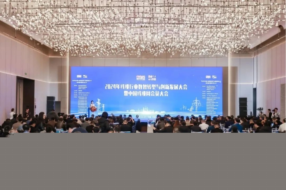 萬(wàn)馬股份榮獲“2024年度中國(guó)線纜行業(yè)領(lǐng)軍品牌企業(yè)”